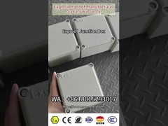 Khung hộp nối chống cháy Exproof cho môi trường nguy hiểm IP66 OEM 110-460VAC