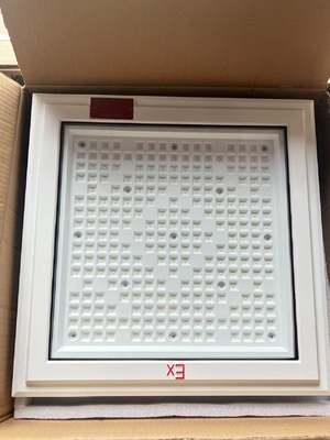 Kiểm soát không thấm nước IP66 Đèn chiếu sáng địa điểm nguy hiểm LED Thời gian sử dụng lâu 500000 giờ