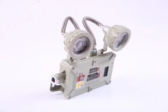Ánh sáng khẩn cấp chống cháy công nghiệp 2*3Watt 220VAC 24/36VDC