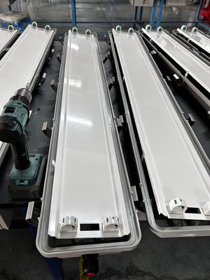 Chất liệu GRP cường độ cao 600mm Ex-proof Đèn tuyến tính chống nổ đèn huỳnh quang cho an toàn công nghiệp