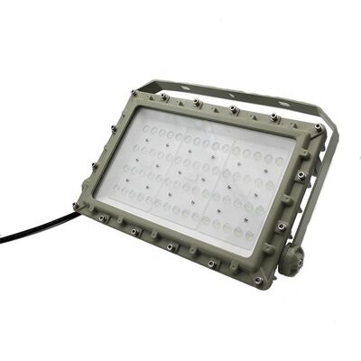 Đèn chiếu sáng LED chống cháy có thể tùy chỉnh cung cấp bảo vệ IP66 WF2 Thích hợp cho ánh sáng ngành công nghiệp dầu khí và hóa chất