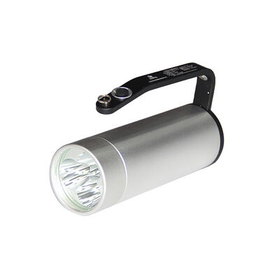 Tuổi thọ 50000 giờ, chống cháy nổ, chiếu sáng bằng đèn LED, có thời gian khẩn cấp 16 giờ cho chiếu sáng công nghiệp an toàn