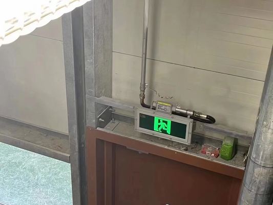 Mô hình bề mặt tùy chỉnh 3w 220VAC Ánh sáng ra ngoài chống nổ