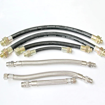 Bơm linh hoạt chống nổ bằng thép không gỉ với bảo vệ IP67