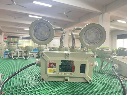 Đèn LED khẩn cấp chống cháy 2x3W – 90lm/W, Xếp hạng IP66 cho khu vực nguy hiểm