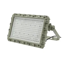 Đèn LED chống nổ màu đỏ 140lm / W với đầu vào AC / DC và xếp hạng IP66