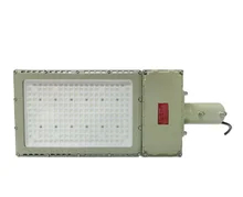50W Ex Proof đèn LED với độ sáng và các tùy chọn lắp đặt khác nhau