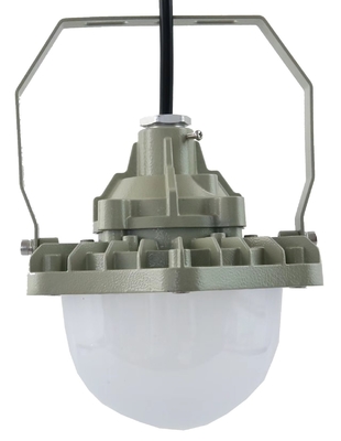 100W Cầu chống nổ High Bay Light AC220V 50/60Hz IP66 với 70±2CRI Thiết kế mới Sản phẩm bán chạy nhất Hội thảo giá
