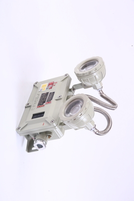 Đèn khẩn cấp tường hoặc trần chống cháy với 90/120/180mins 2 * 5w
