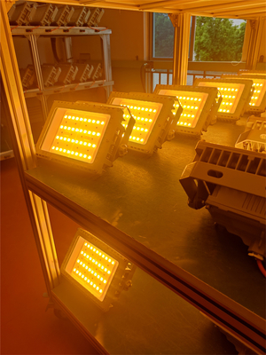 50W 100W 200W 250W Đèn đèn LED chống nổ Tiêu chuẩn ATEX IECEx RoHS CNEX ISO9001