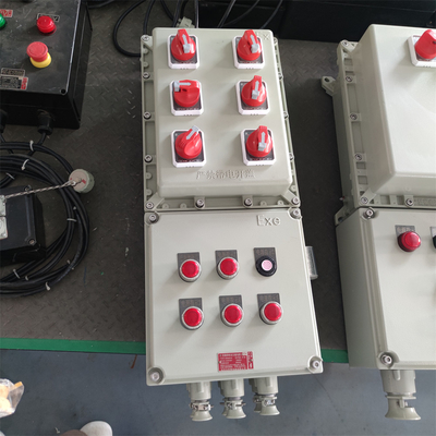 IP66 Kháng nổ Kháng lửa Bảng điều khiển WF2 Với Cáp nhập tùy chỉnh được chứng nhận ATEX