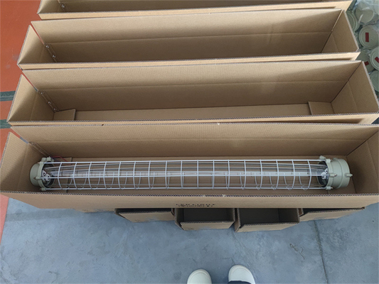 Lớp 1 Div 1 Ex Ánh sáng huỳnh quang tuyến tính bằng chứng với ATEX IECEx RoHS CNEX ISO Đối với các cơ sở ngoài khơi biển