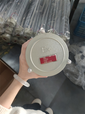 Lớp 1 Div 1 Ex Ánh sáng huỳnh quang tuyến tính bằng chứng với ATEX IECEx RoHS CNEX ISO Đối với các cơ sở ngoài khơi biển