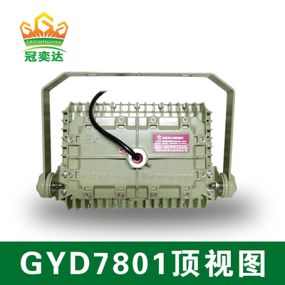 Ánh sáng đèn LED chống nổ ATEX với thời gian hoạt động 50000 giờ IP66 WF2 Bảo vệ IECEx được chứng nhận