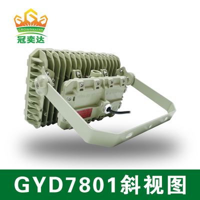 Ánh sáng đèn LED chống nổ ATEX với thời gian hoạt động 50000 giờ IP66 WF2 Bảo vệ IECEx được chứng nhận