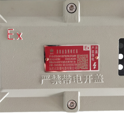 Khu vực nguy hiểm 1 Đèn chống nổ công nghiệp IP66 WF2 5 Watt 90-180 phút