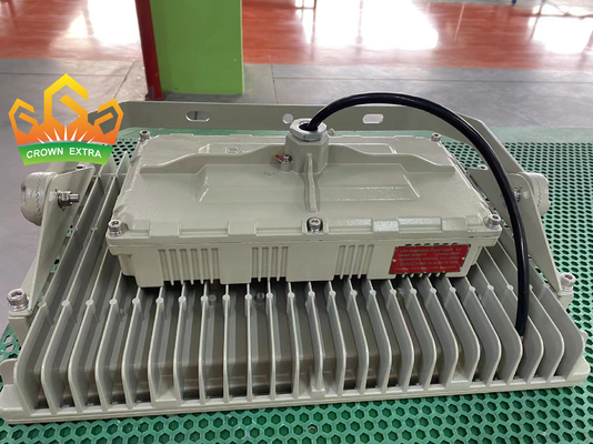 CREE Đèn đèn LED chống cháy với 50000h Thời gian sống và ATEX IECEx CNEX được chứng nhận