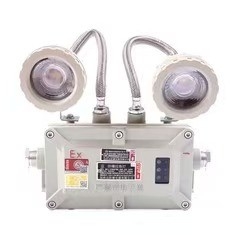 Đèn khẩn cấp 2 * 3Watt LED 220VAC 24/36VDC cho Khu vực 1 2