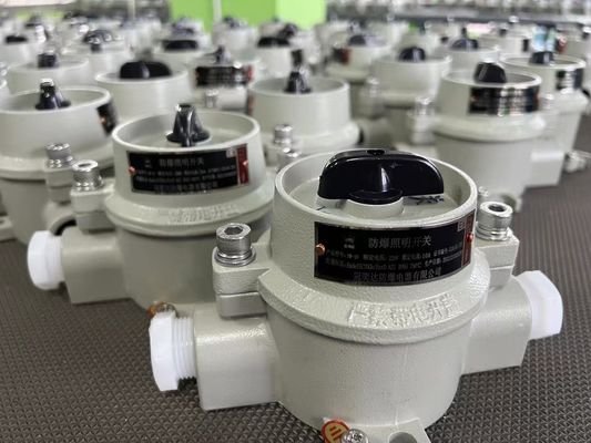 220V / 380V Chuyển bộ chọn điện chống nổ với WF2 Vùng Xám 22