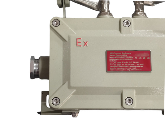 2 * 5w Đèn phòng nổ khẩn cấp Ống lắp tường và trần cho các tình huống nguy hiểm