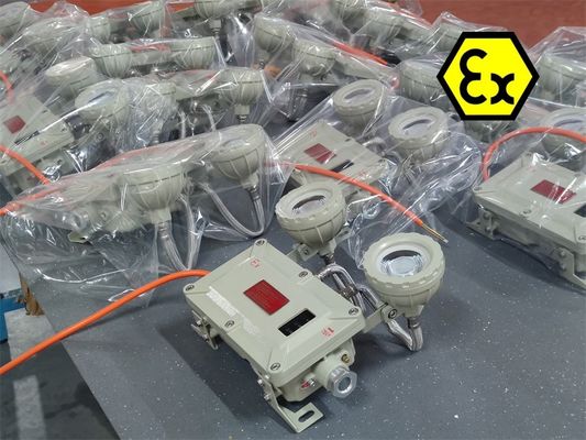 Đèn LED khẩn cấp chống cháy nổ 2x5W IP65 – Có thể sạc lại cho khu vực nguy hiểm