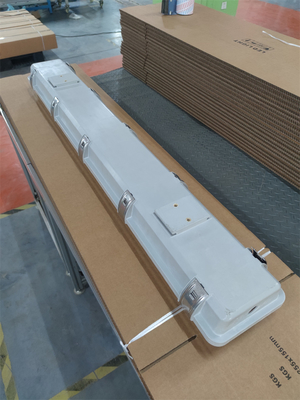 2 * 36W Đèn huỳnh quang chống nổ IP66 WF2 Mức độ bảo vệ IECEx được phê duyệt cho Khu vực1 2 Khu vực21 22 Môi trường nguy hiểm