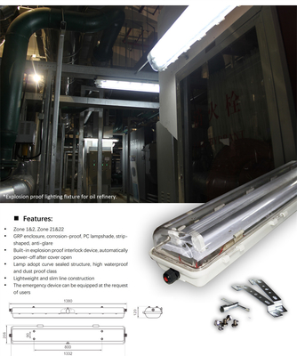 Đèn huỳnh quang chống cháy nổ IP66 với ATEX/IECEx | Gắn trần, tường & thả cho các địa điểm nguy hiểm