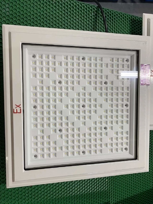 Đèn đèn LED chống nổ với đèn CREE và loại 50-240Watt
