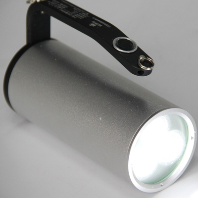 Đèn chống nổ máy chủ tùy chỉnh LED IP66 WF2 Bảo vệ