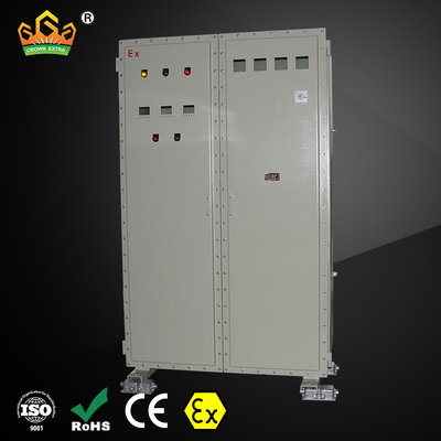 IP66 Chứng minh nổ Bề mặt chuyển đổi gắn 2 cột Mức độ bảo vệ cao bền