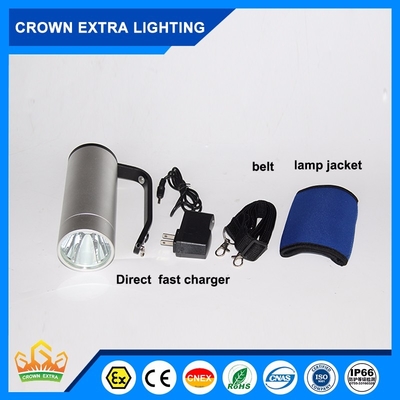 Đèn LED chống cháy nổ tùy chỉnh cho máy chủ, thời gian chiếu sáng khẩn cấp 16 giờ cho các cơ sở lưu trữ hóa chất