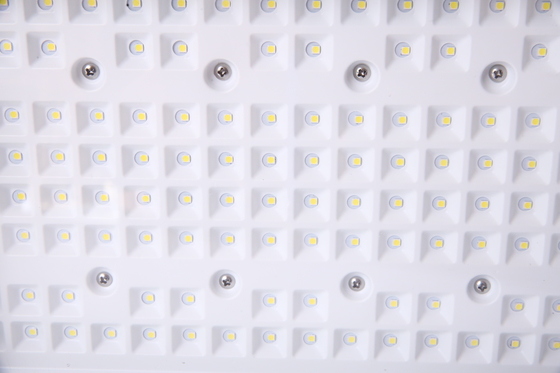 Đèn đèn LED chống nổ 50 ′′ 240W có thể tùy biến ∙ CREE Chips ∙ ATEX được chứng nhận cho các khu vực nguy hiểm