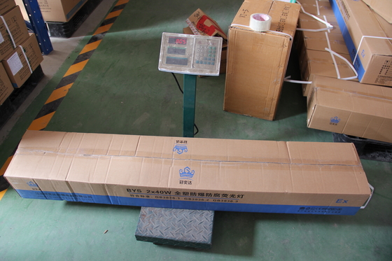 Đèn LED tuyến tính chống cháy nổ ATEX/IECEx/CNEX – Đèn chiếu sáng cấp công nghiệp cho các khu vực nguy hiểm, Tiết kiệm năng lượng, IP66, Tùy chọn công suất & nhiệt độ màu tùy chỉnh