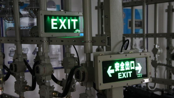 Ánh sáng cảnh báo hiệu thoát hiểm khẩn cấp Atex chất lượng cao Khả năng tùy chỉnh các mẫu đèn hiệu thoát hiểm chống nổ cho Zon1 Zone2