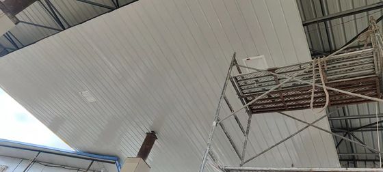 Đèn pha LED an toàn nội tại 10.85 kg Trọng lượng và 80 ±2 Chỉ số hoàn màu CRI cho Chiếu sáng khu vực nguy hiểm