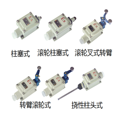Bộ chọn chống cháy IP66 với đầu vào cáp G3/4'' để an toàn và điều khiển trong điều kiện khắc nghiệt