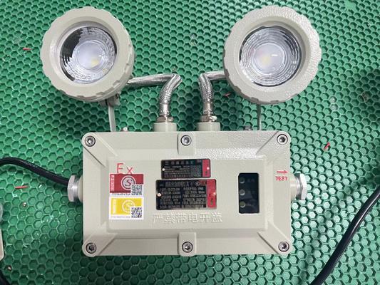 Ánh sáng khẩn cấp cho môi trường nguy hiểm 90-300VAC 24/36VDC