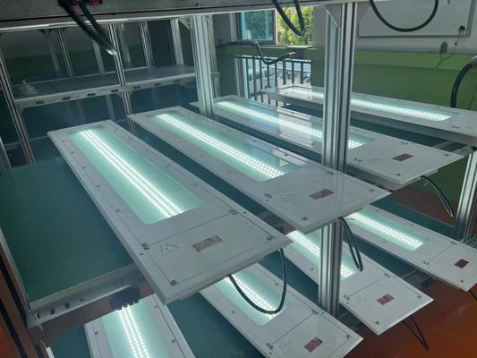 0.6M 1.2M 100LM / W Đèn dẫn đường thẳng chống nổ 36w Đèn công nghiệp an toàn T6 Đèn dẫn thép chống nổ Đèn thẳng