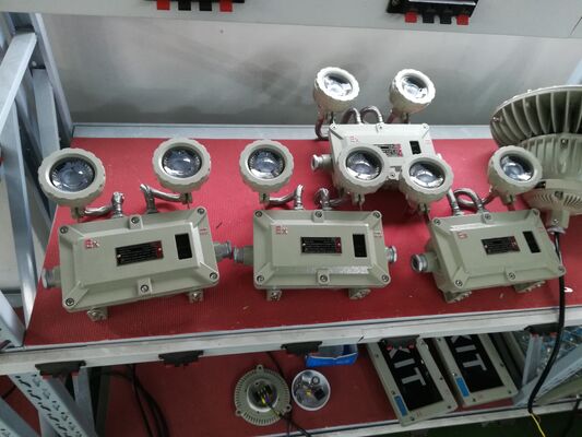 Đèn khẩn cấp vỏ hợp kim nhôm hai đầu chống cháy nổ 220VAC/24VDC An toàn IP66 Đèn LED