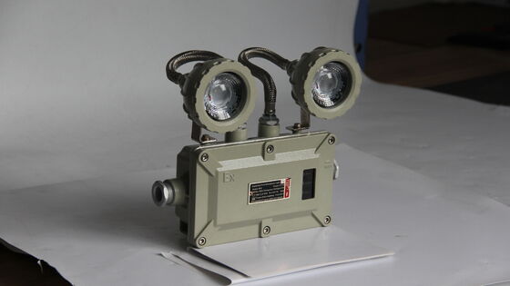 ATEX × CNEX 220VAC 50Hz CCT 4500-6500K Đèn khẩn cấp chống nổ tùy chỉnh