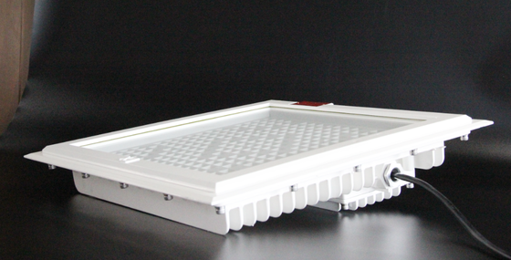 Đèn LED chống nổ công suất cao 100-250W, CCT tối đa 5700K, Bảo hành 5 năm cho khu vực nguy hiểm tại trạm xăng