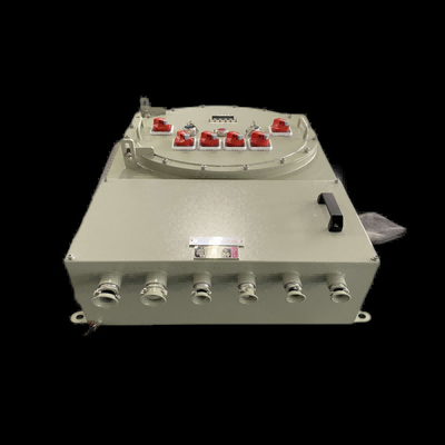 Phân đồ hộp gắn trên tường chống nổ với điện áp AC220V/380V