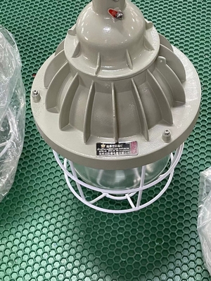 Đèn HID chống cháy nổ được chứng nhận ATEX công suất cao 200W 400W, lắp đặt trần/treo/tường, tiêu thụ điện 150-400 Watts